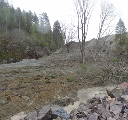 Steinrøys - Klikk for stort bilde