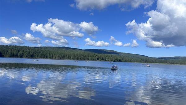 Lenke til artikkel: 2SRA og 2SRB på dagstur til Harestuvannet