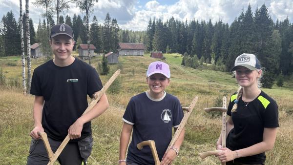 Lenke til artikkel: Slåttefolket på Mikkelrud – der tiden nesten har stått stille 