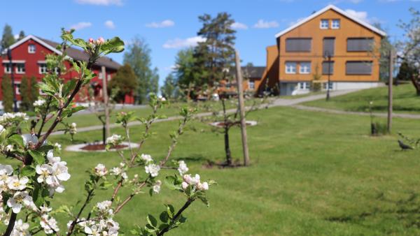 Lenke til artikkel: Informasjon om skolestart og skolerute for 2026/2027