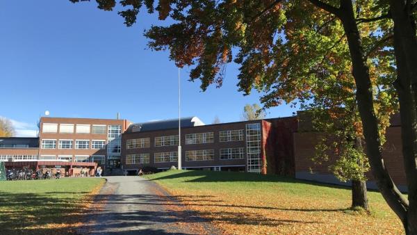 Lenke til artikkel: Skolestart mandag 17.august 2026