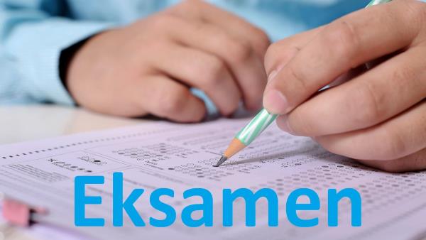 Lenke til artikkel: Har du rett på ny og utsatt eksamen? 