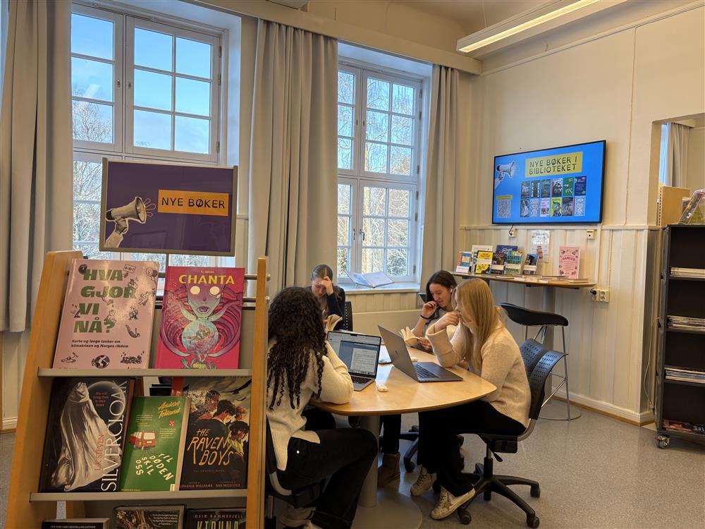 Klikk for stort bilde