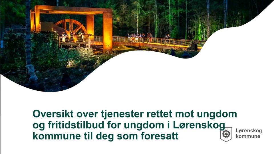 Tjenester Og Fritidstilbud For Ungdom I Lørenskog Kommune - Mailand ...