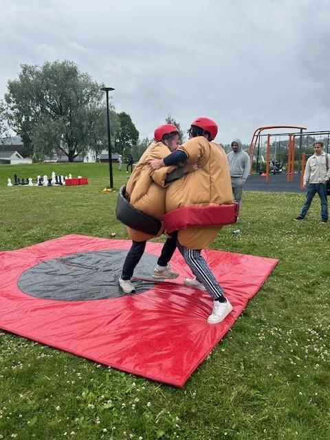 Klikk for stort bilde