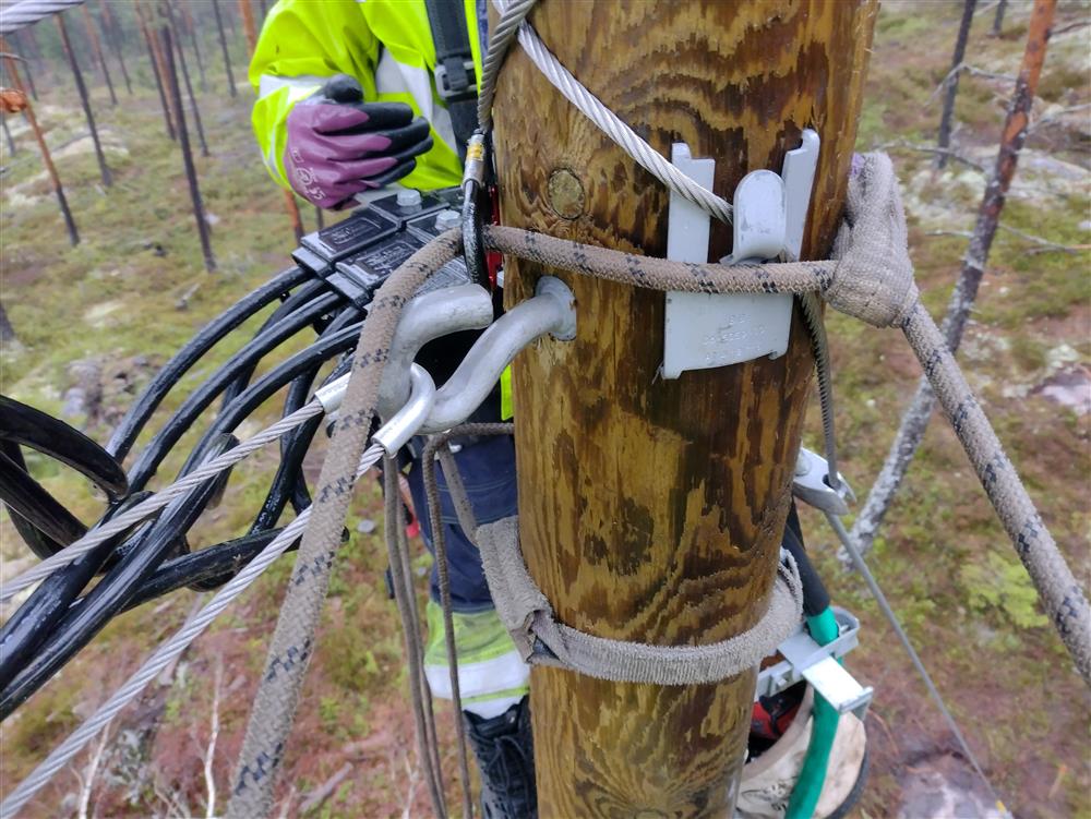 Klikk for stort bilde