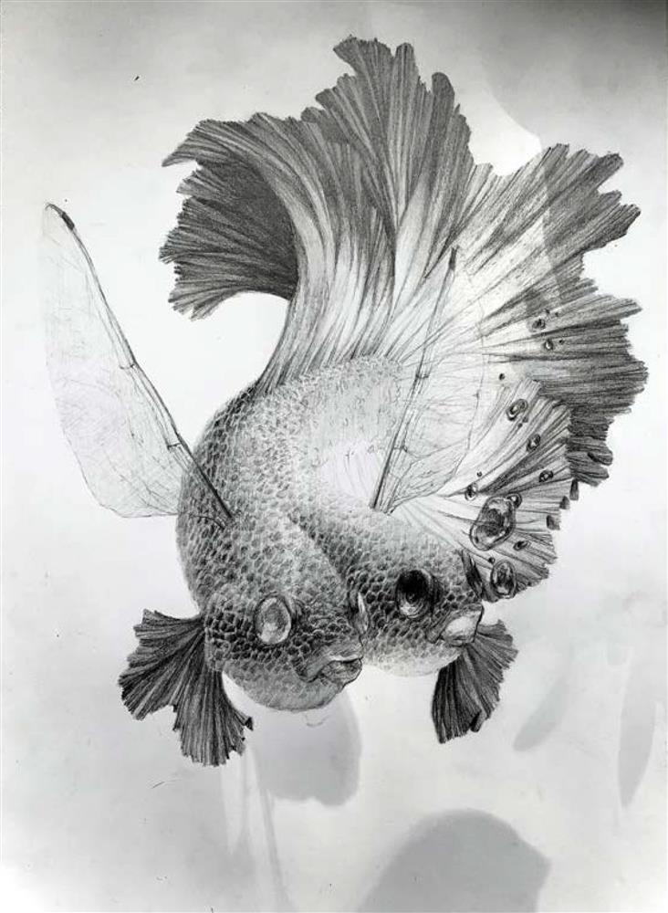 Bilde av elevtegning - Klikk for stort bilde