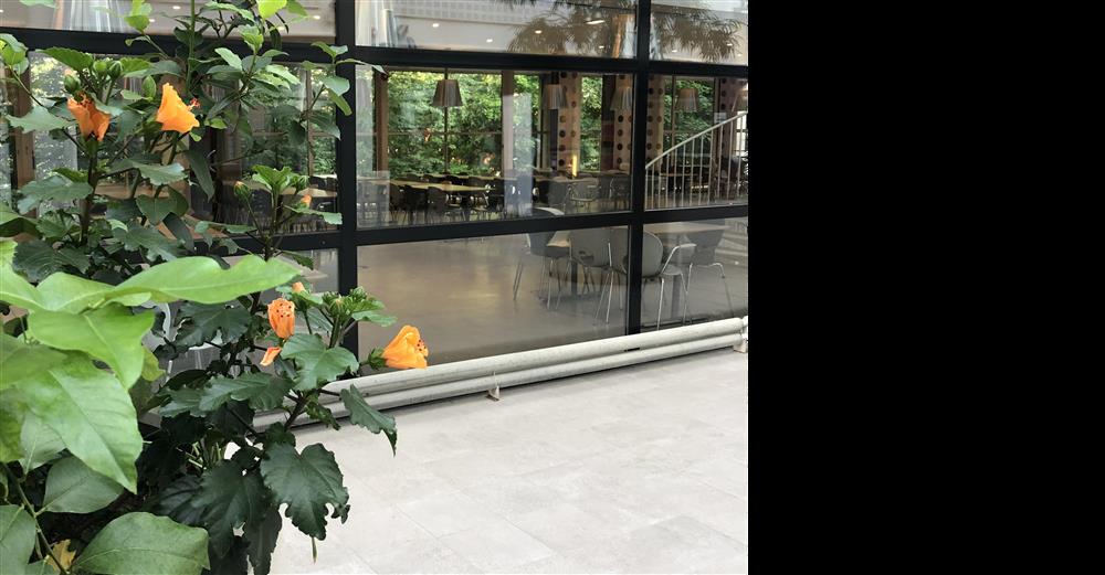 Utenfor kantinen og blomster - Klikk for stort bilde