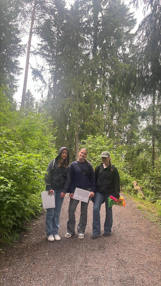 Klikk for stort bilde