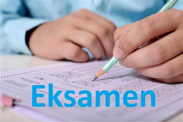 Lenke til artikkel: Privatisteksamen