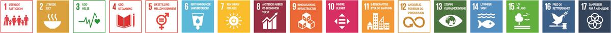 FNs 17 bærekraftsmål illustrert med 17 ulike farger i bokser. - Klikk for stort bilde